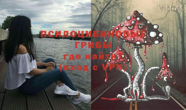 сатива Белоозёрский
