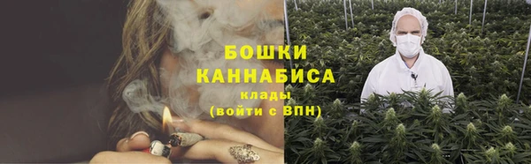 сатива Белоозёрский