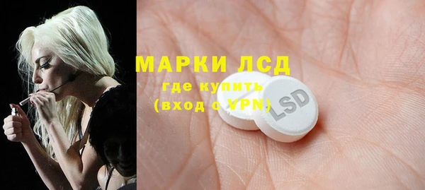 сатива Белоозёрский