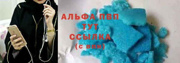сатива Белоозёрский