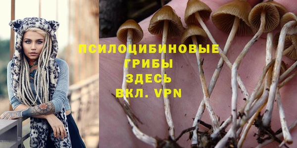 а пвп мука Белокуриха