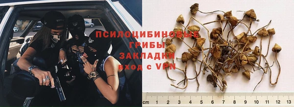 спиды Беломорск